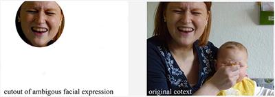 Understanding Another Person's Emotions—An Interdisciplinary Research Approach